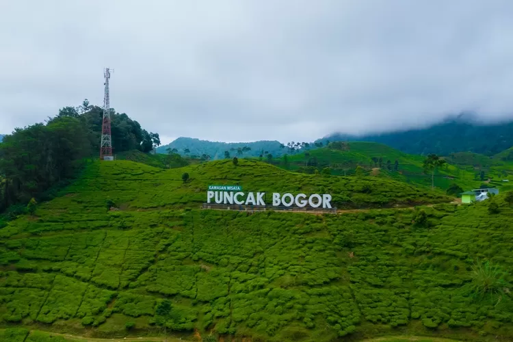 Puncak Pass Bogor