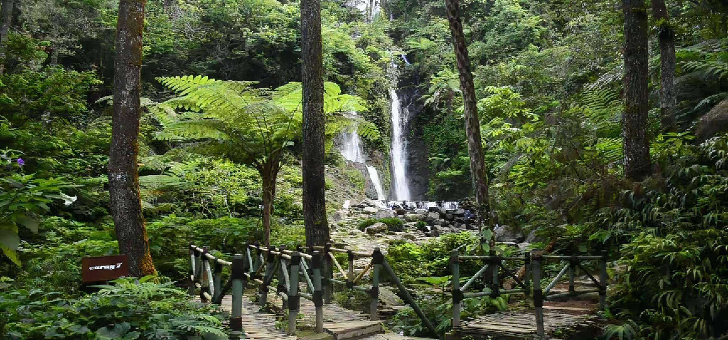 wisata air terjun curug cilember bogor